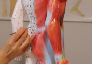 rwa kulszowa, klawiterapia