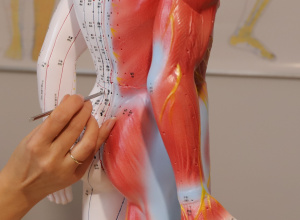 Rwa kulszowa – profilaktyka